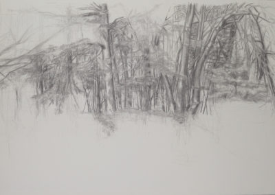 tekening van een bos bij rekken, onderdeel van een serie van drie van Wim Konings