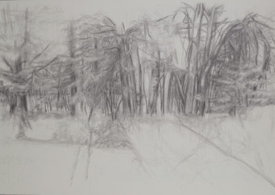 tekening van een bos bij rekken, onderdeel van een serie van drie van Wim Konings